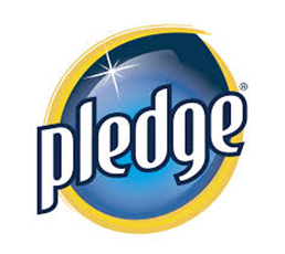 Pledge2